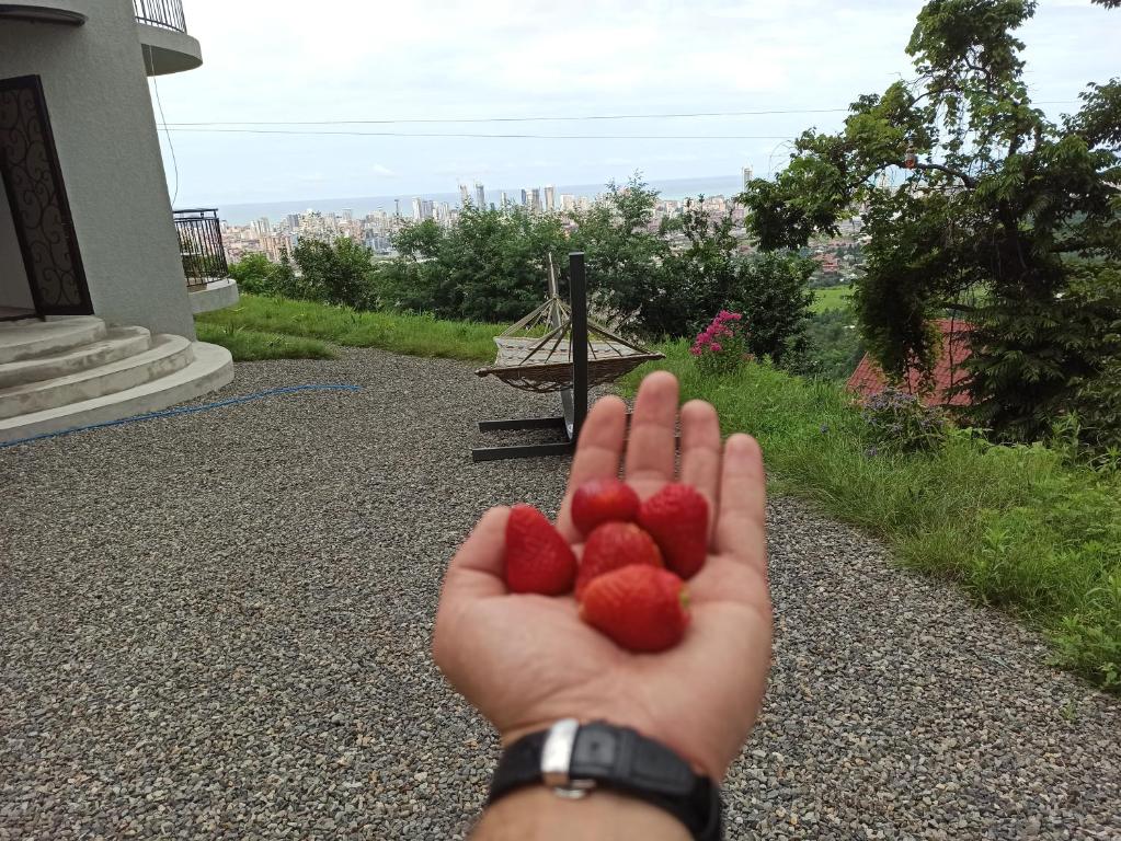 Dream Panorama Villa Batumi room 4